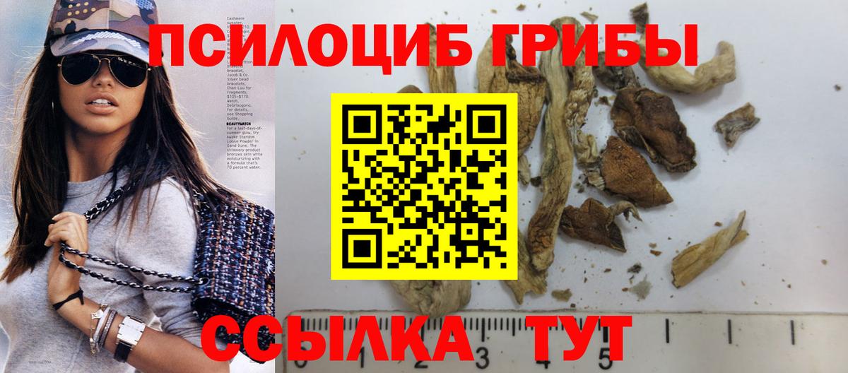 Краснокаменск  Галлюциногенные грибы Cubensis  Псилоцибиновые грибы мицелий  Вход с VPN 